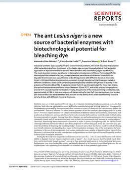 The Ant Lasius Niger Is a New Source of Bacterial Enzymes With