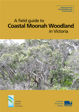 Coastal Moonah Woodland in Victoria