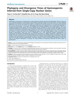 Phylogeny and Divergence Times of Gymnosperms Inferred from Single-Copy Nuclear Genes