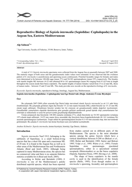 Reproductive Biology of Sepiola Intermedia (Sepiolidae: Cephalopoda) in the Aegean Sea, Eastern Mediterranean