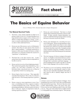 The Basics of Equine Behavior