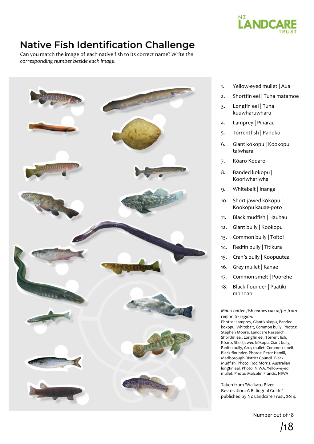 Native Fish Identification Challenge