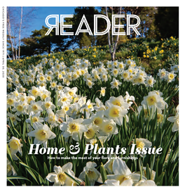 Home & Plants Issue