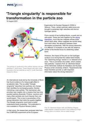 'Triangle Singularity' Is Responsible for Transformation in the Particle Zoo 18 August 2021