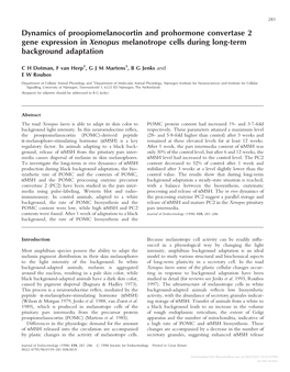 Dynamics of Proopiomelanocortin and Prohormone Convertase 2 Gene Expression in Xenopus Melanotrope Cells During Long-Term Background Adaptation