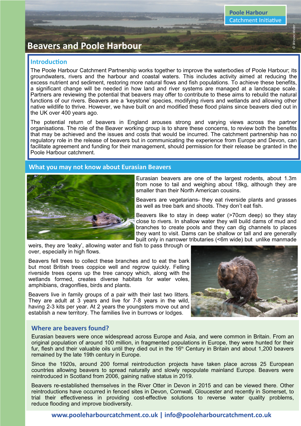 Beavers and Poole Harbour