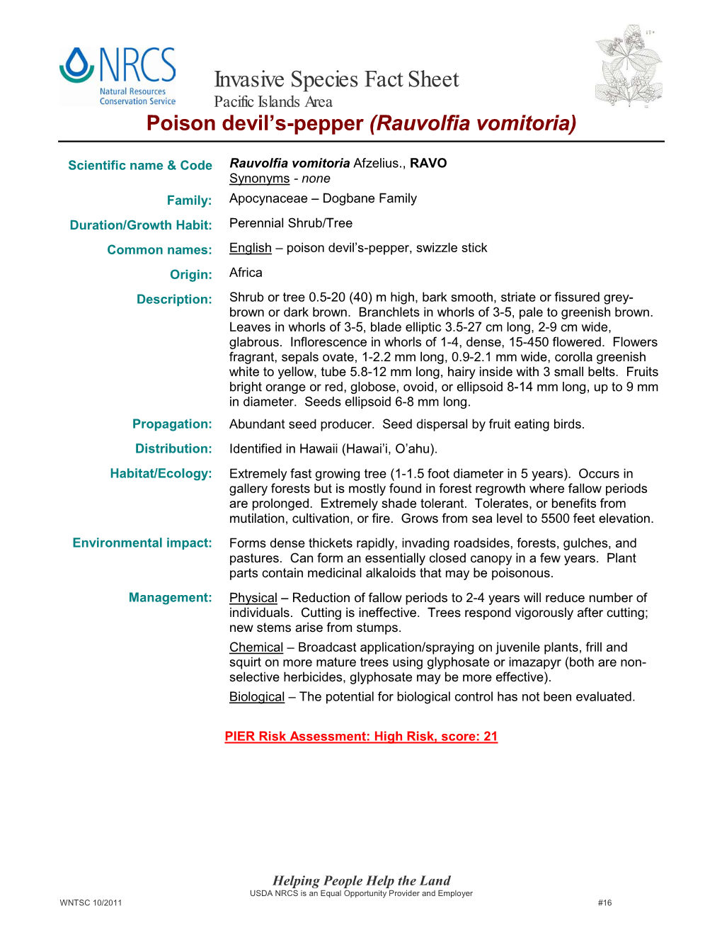 Poison Devil's Pepper (Rauvolfia Vomitoria)
