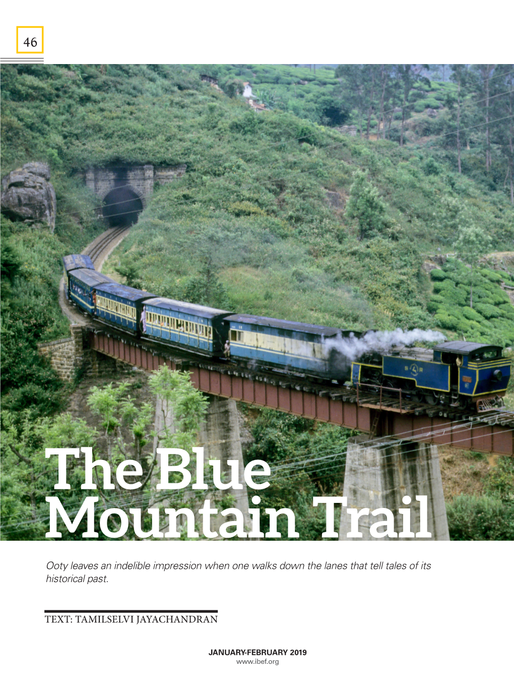 The Blue Mountain Trail