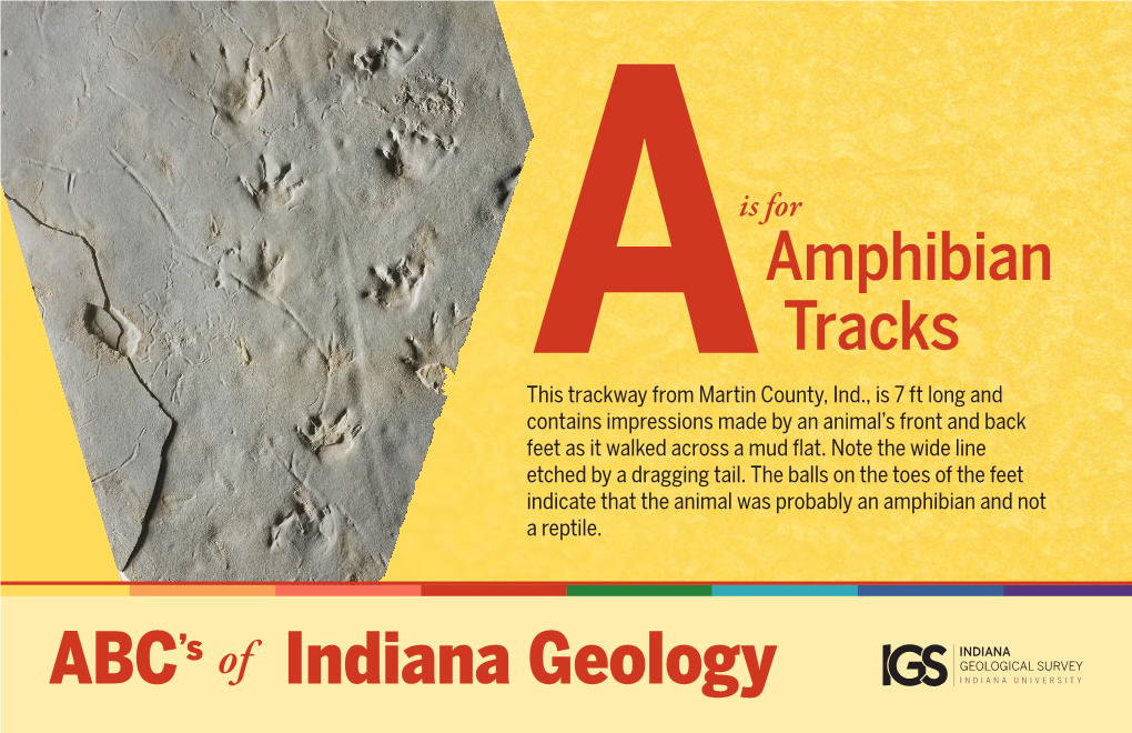 Indiana Geology Is for Brachiopod