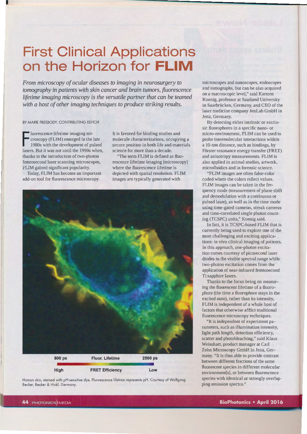 First Clinical Applications on the Horizon for FLIM