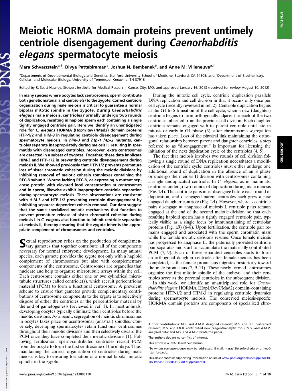 Meiotic HORMA Domain Proteins Prevent Untimely Centriole