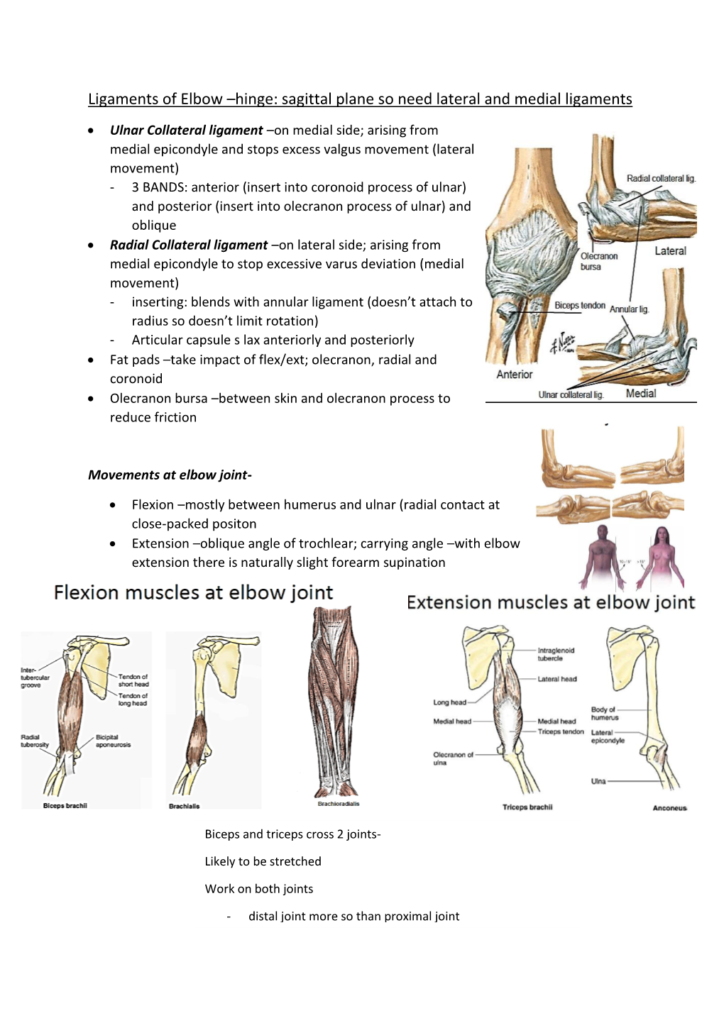 Ligaments of Elbow –Hinge: Sagittal Plane So Need Lateral and Medial Ligaments