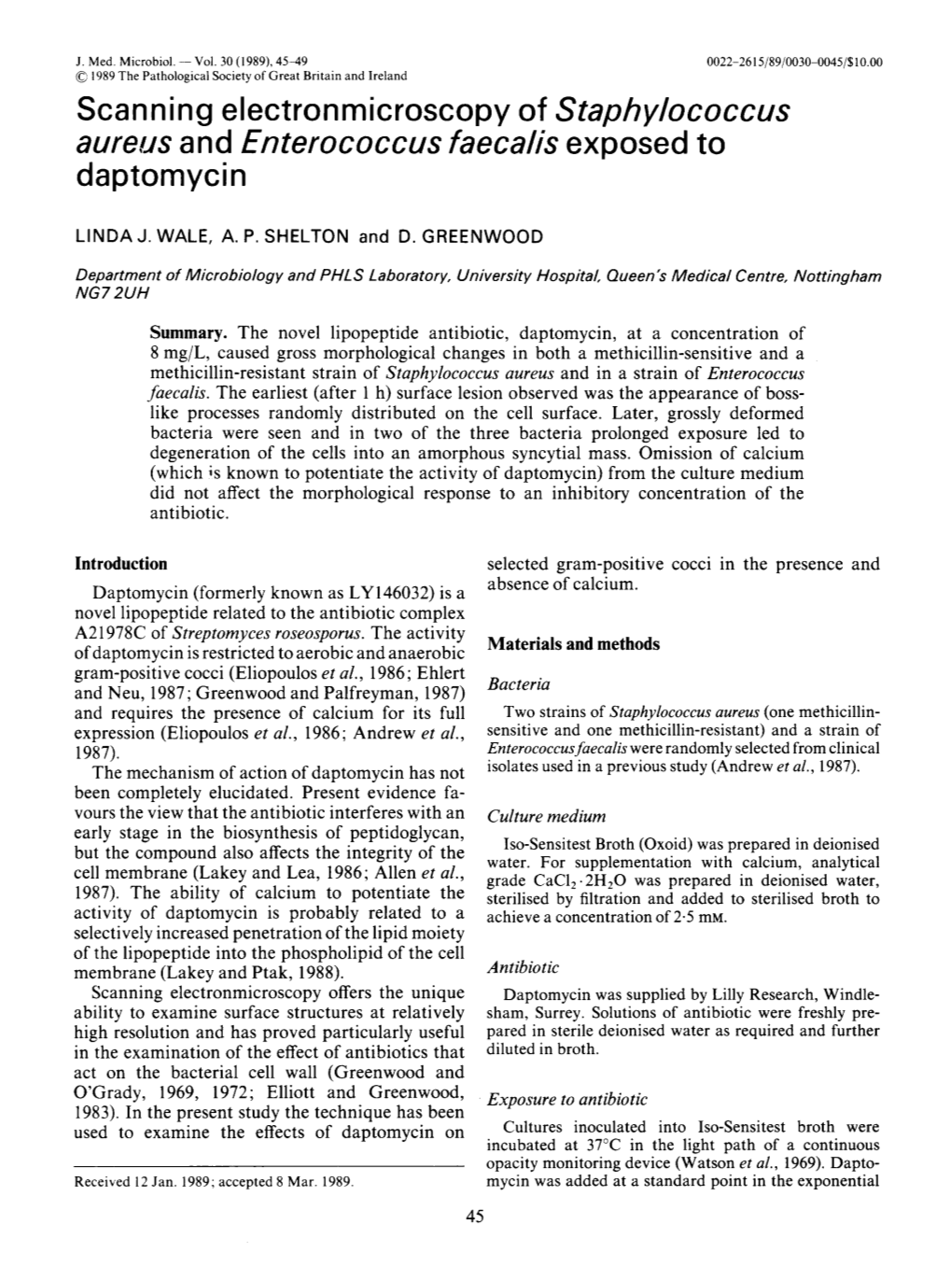 Aureus and Enterococcus Faecalis Exposed to Daptomycin