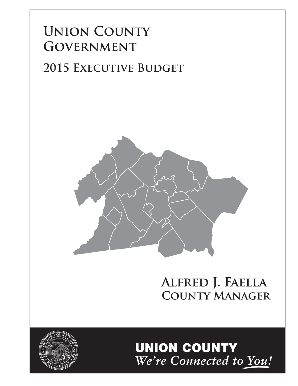 Union County Government 2015 Executive Budget