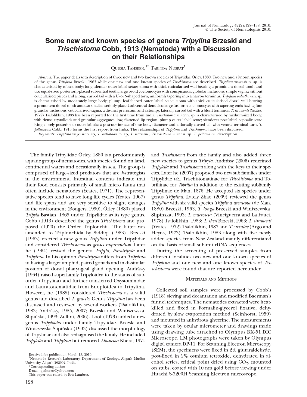 Some New and Known Species of Genera Tripylina Brzeski and Trischistoma Cobb, 1913 (Nematoda) with a Discussion on Their Relationships