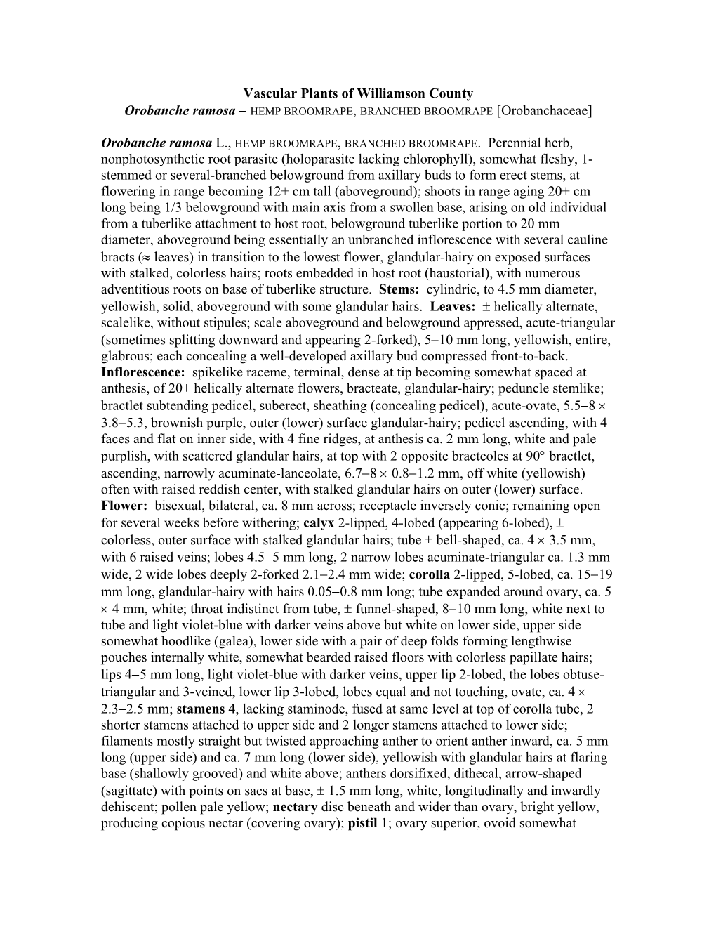 Vascular Plants of Williamson County Nonphotosynthetic Root