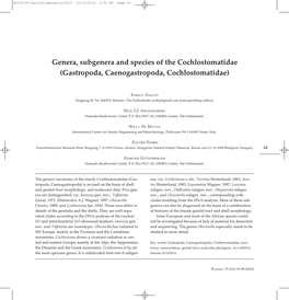 Genera, Subgenera and Species of the Cochlostomatidae (Gastropoda, Caenogastropoda, Cochlostomatidae)