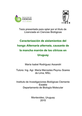 Caracterización De Aislamientos Del Hongo Alternaria Alternata, Causante De La Mancha Marrón De Los Cítricos En Uruguay