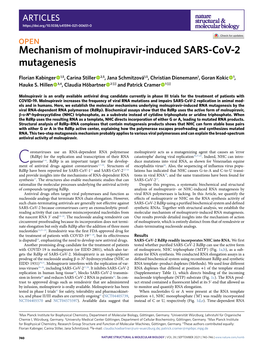 Mechanism of Molnupiravir-Induced SARS-Cov-2 Mutagenesis