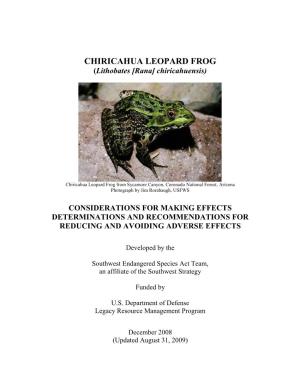 CHIRICAHUA LEOPARD FROG (Lithobates [Rana] Chiricahuensis)