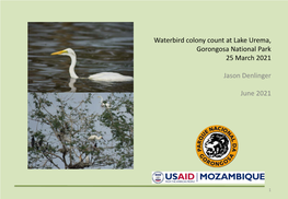 Waterbird Colony Count at Lake Urema, Gorongosa National Park, March