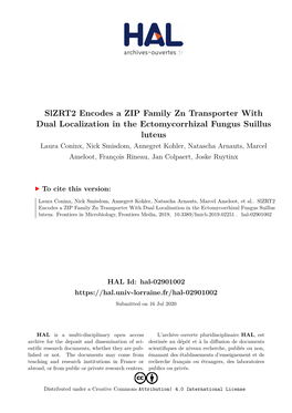 Slzrt2 Encodes a ZIP Family Zn Transporter with Dual Localization
