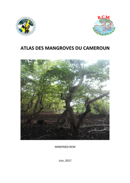 Atlas Des Mangroves Du Cameroun