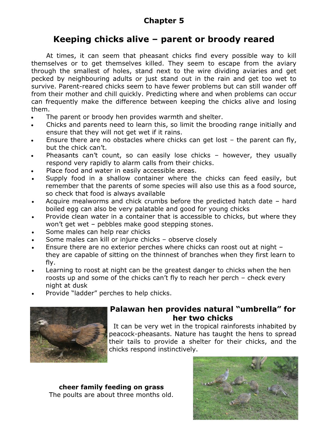 Breeding and Managing Pheasants