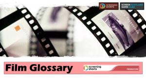 Film Glossary Camera Framing (Size in Frame) Frame Individual Still Image; the Rectangle Within Which the Image Is Composed Or Captured