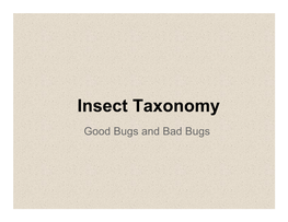Insect Taxonomy Lecture.Pptx