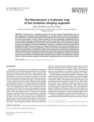 The Nematocyst: a Molecular Map of the Cnidarian Stinging Organelle ANNA BECKMANN and SUAT ÖZBEK*