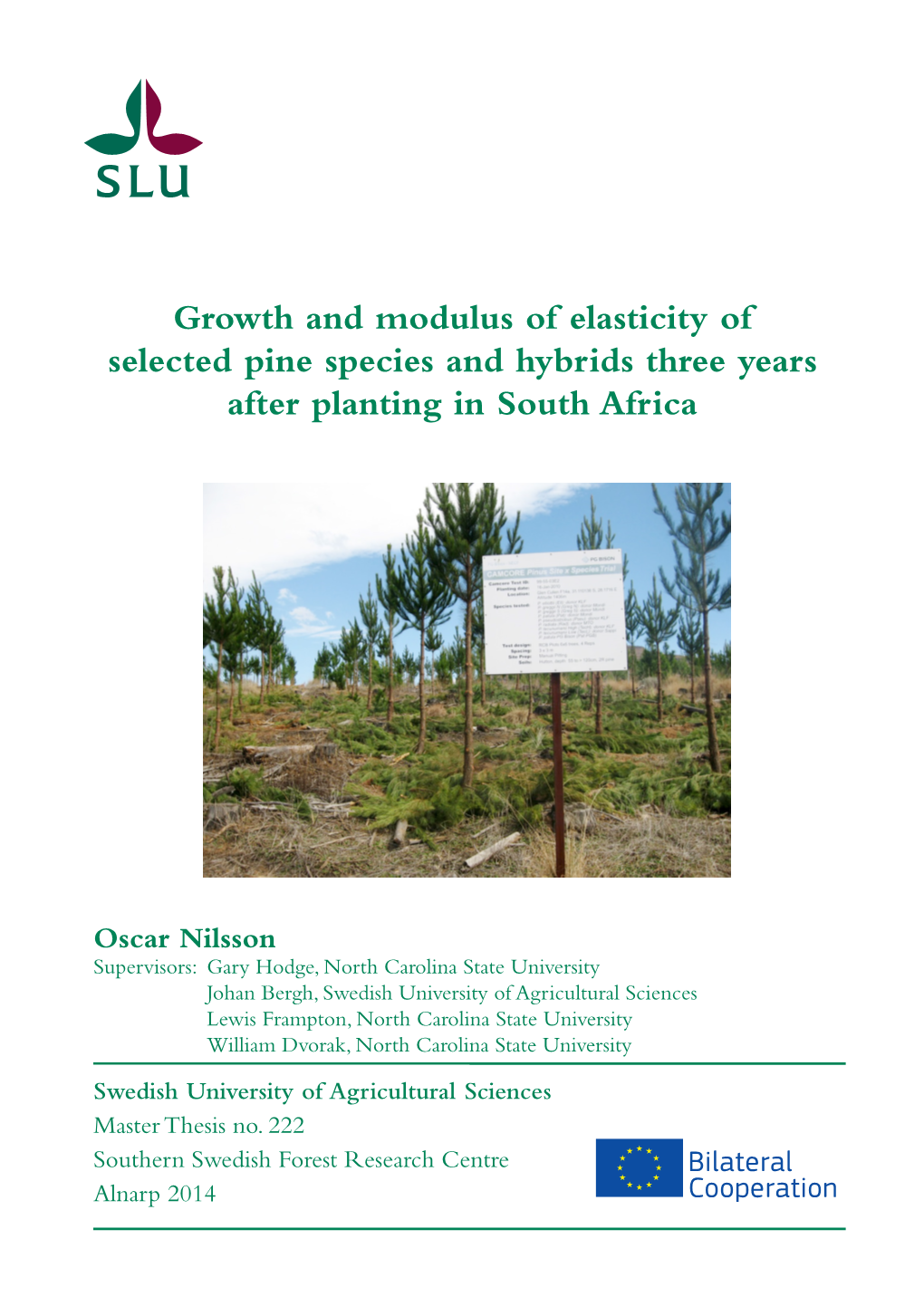 Growth and Modulus of Elasticity of Selected Pine Species and Hybrids Three Years After Planting in South Africa