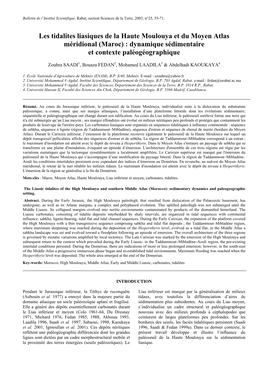 Les Tidalites Liasiques De La Haute Moulouya Et Du Moyen Atlas Méridional (Maroc) : Dynamique Sédimentaire Et Contexte Paléogéographique