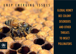 Global Honey Bee Colony Disorder and Other Threats to Insect Pollinators