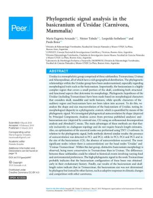 Phylogenetic Signal Analysis in the Basicranium of Ursidae (Carnivora, Mammalia)