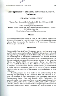 Lectotypification of Jyatostema Subscabrum H.Schroet. (Urticac~Ae )