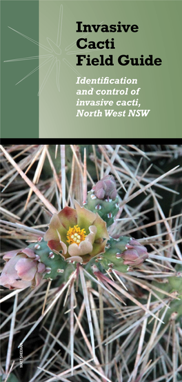 Invasive Cacti Field Guide Identification and Control of Invasive Cacti, North West NSW MATT SHEEHAN MATT CONTENTS
