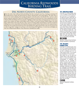 California Redwoods Birding Trail