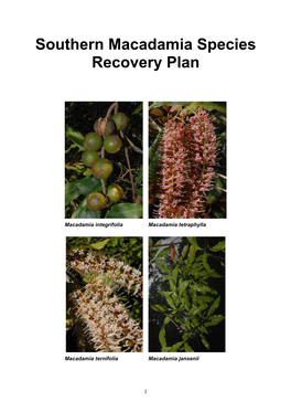 Southern Macadamia Species Recovery Plan