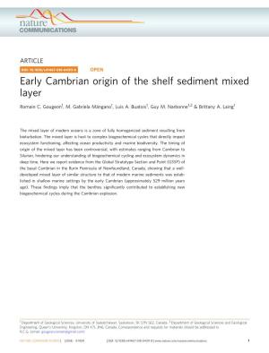 Early Cambrian Origin of the Shelf Sediment Mixed Layer