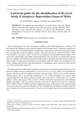 A Pictorial Guide for the Identification of the Jewel Beetle (Coleoptera: Buprestidae) Fauna of Malta