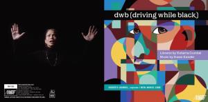 Dwb (Driving While Black)
