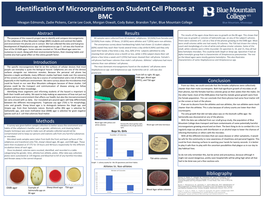 Staphylococcus Spp