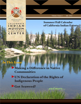 UN Declaration of the Rights of Indigenous People Making A
