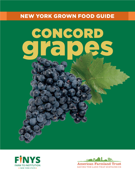 New York Concord Grapes Guide
