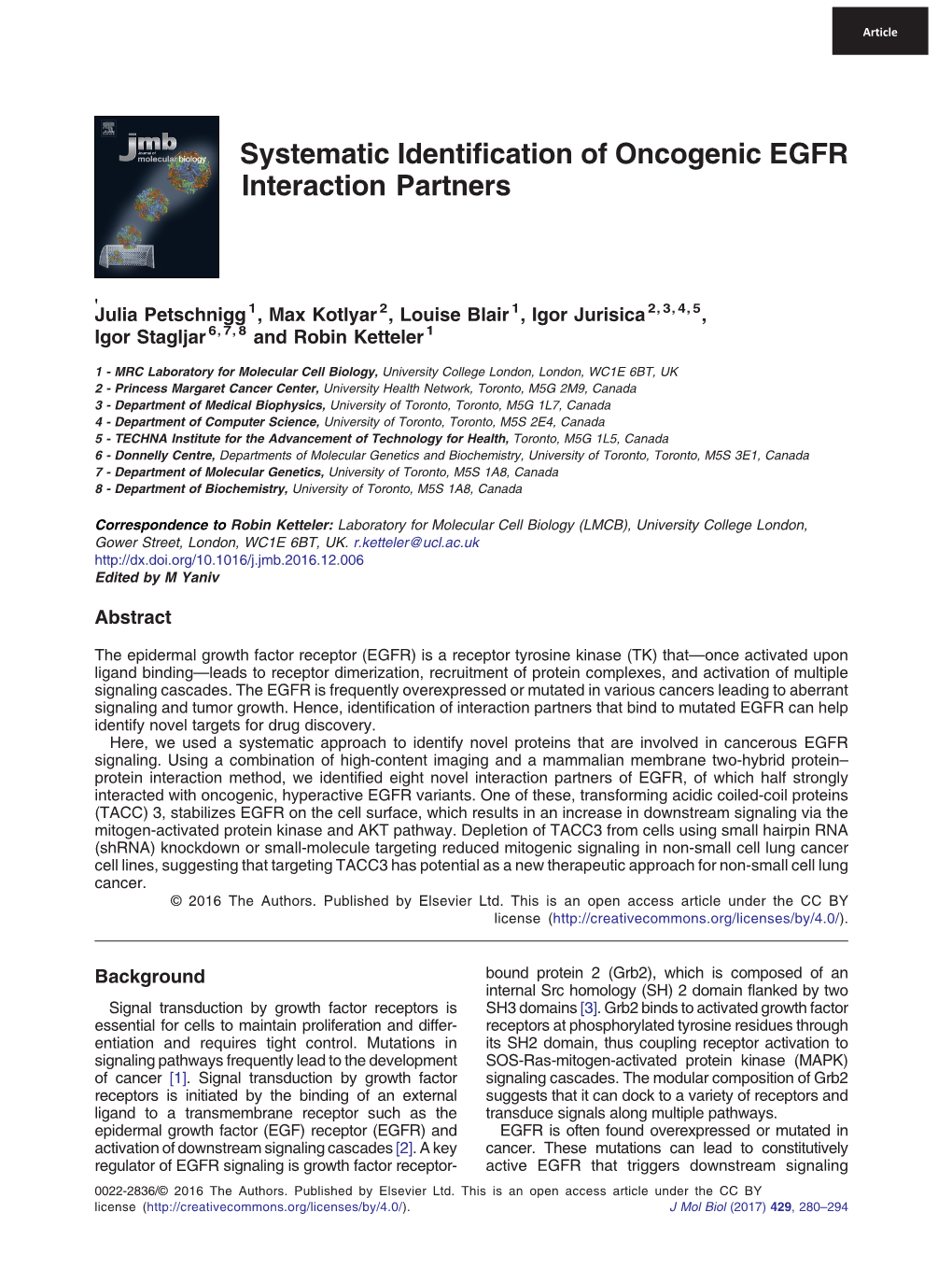 Systematic Identification of Oncogenic EGFR Interaction Partners