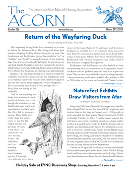 Return of the Wayfaring Duck Story and Drawings by William Avery, Ph.D