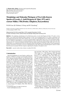Morphology and Molecular Phylogeny of Two Little-Known Species of Loxodes, L