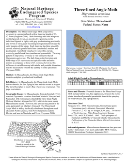 Three-Lined Angle Moth Digrammia Eremiata NOTE: Formerly Semiothisa Eremiata