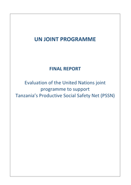 Un Joint Programme